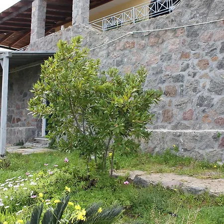 Studio Roinos