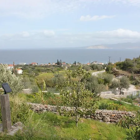 Studio Roinos